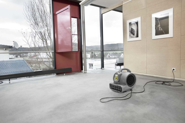 AB 20/1 Ec *EU Karcher Professionnel