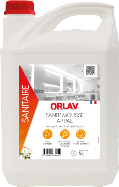 SANIT’ MOUSSE AP PAE | Nettoyant détartrant désinfectant sanitaires professionnel Entretien sanitaire