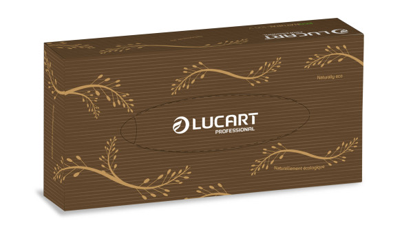 Carton De 40 Boites De 100 Mouchoirs Econatural Mouchoir