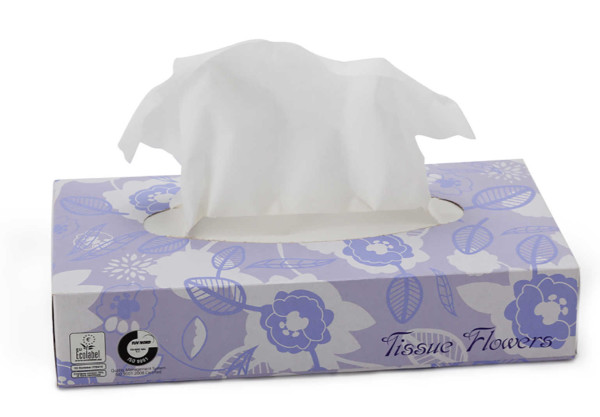 Carton De 40 Boites De 100 Mouchoirs Celtex Eco Label Mouchoir